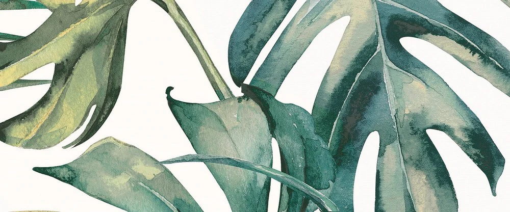 Immagine prodotto 11