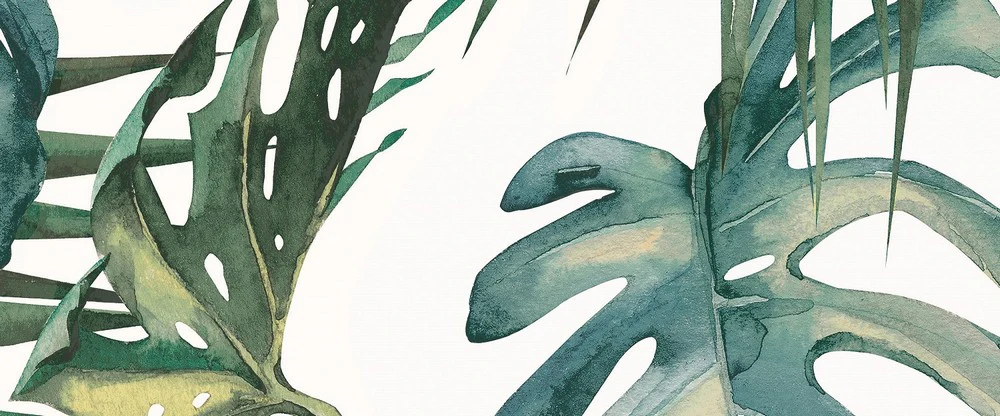 Immagine prodotto 12