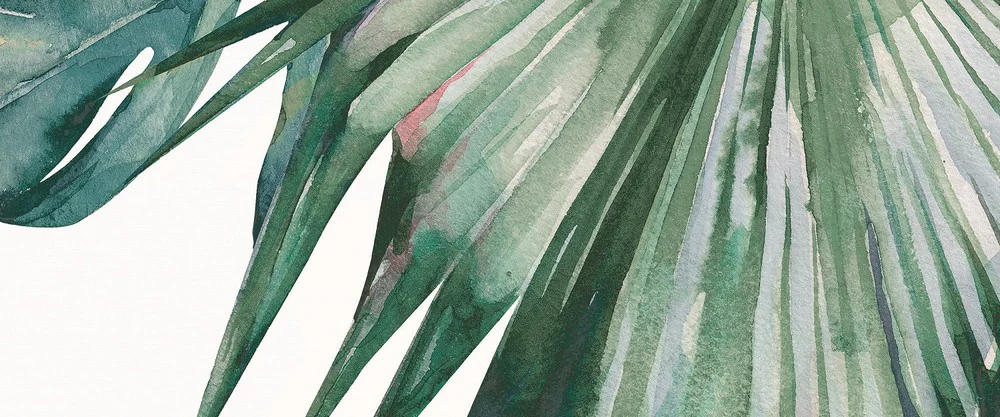 Immagine prodotto 14